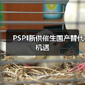 PSPI断供催生国产替代机遇（图4）