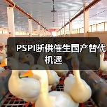PSPI断供催生国产替代机遇（图3）