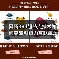 昇腾384超节点技术如何突破AI算力互联瓶颈？（图4）