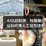 AI洗白陷阱：独角兽企业如何用人工冒充技术？（图4）