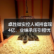 卓胜微实控人减持套现4亿，业绩承压引担忧（图1）