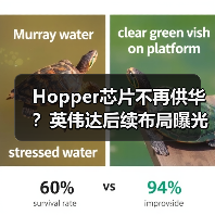 Hopper芯片不再供华？英伟达后续布局曝光（图3）