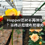 Hopper芯片不再供华？英伟达后续布局曝光（图4）