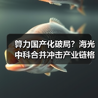 算力国产化破局？海光中科合并冲击产业链格局（图2）