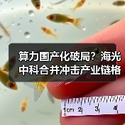 算力国产化破局？海光中科合并冲击产业链格局（图3）