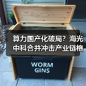 算力国产化破局？海光中科合并冲击产业链格局（图1）