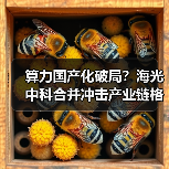 算力国产化破局？海光中科合并冲击产业链格局（图4）