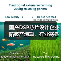 国产DSP芯片设计企业陷破产清算，行业寒冬为何频现？（图2）