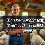 国产DSP芯片设计企业陷破产清算，行业寒冬为何频现？（图4）