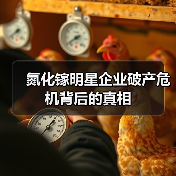 氮化镓明星企业破产危机背后的真相（图4）