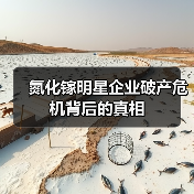 氮化镓明星企业破产危机背后的真相（图2）