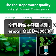 全屏指纹+健康监测，Sensor OLED技术如何改变手机体验？（图4）
