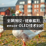 全屏指纹+健康监测，Sensor OLED技术如何改变手机体验？（图3）