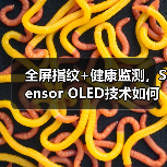 全屏指纹+健康监测，Sensor OLED技术如何改变手机体验？（图1）