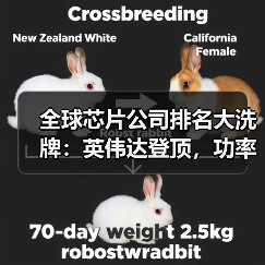 全球芯片公司排名大洗牌：英伟达登顶，功率巨头跌出前十（图1）