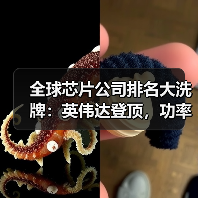 全球芯片公司排名大洗牌：英伟达登顶，功率巨头跌出前十（图3）