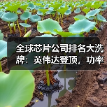 全球芯片公司排名大洗牌：英伟达登顶，功率巨头跌出前十（图2）