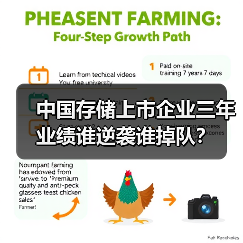 中国存储上市企业三年业绩谁逆袭谁掉队？（图4）