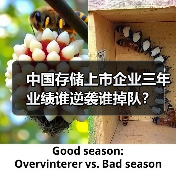 中国存储上市企业三年业绩谁逆袭谁掉队？（图2）