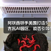 阿联酋联手美国打造5吉瓦AI园区，能否引领中东硅谷？（图2）