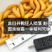 昔日并购狂人陨落 赵伟国贪腐案一审被判死缓（图2）