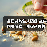 昔日并购狂人陨落 赵伟国贪腐案一审被判死缓（图4）