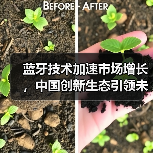 蓝牙技术加速市场增长，中国创新生态引领未来（图2）