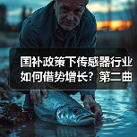 国补政策下传感器行业如何借势增长？第二曲线待寻（图1）