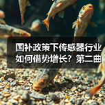 国补政策下传感器行业如何借势增长？第二曲线待寻（图3）