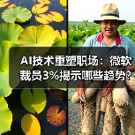 AI技术重塑职场：微软裁员3%揭示哪些趋势？（图4）