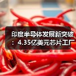 印度半导体发展新突破：4.35亿美元芯片工厂项目获批（图2）