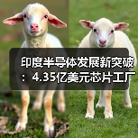 印度半导体发展新突破：4.35亿美元芯片工厂项目获批（图3）