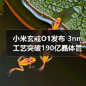 小米玄戒O1发布 3nm工艺突破190亿晶体管技术（图4）