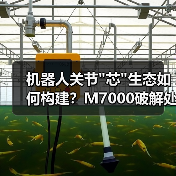 机器人关节
