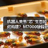 机器人关节