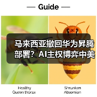 马来西亚撤回华为昇腾部署？AI主权博弈中美技术角力（图2）