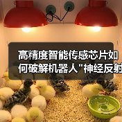高精度智能传感芯片如何破解机器人