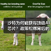 沙特为何能获得顶级AI芯片？政策松绑背后的战略博弈（图4）