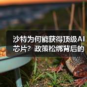 沙特为何能获得顶级AI芯片？政策松绑背后的战略博弈（图1）