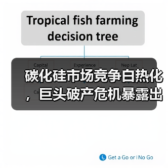碳化硅市场竞争白热化，巨头破产危机暴露出行业隐忧（图4）