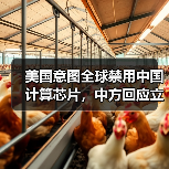 美国意图全球禁用中国计算芯片，中方回应立场明确（图2）