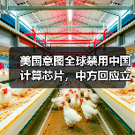 美国意图全球禁用中国计算芯片，中方回应立场明确（图3）