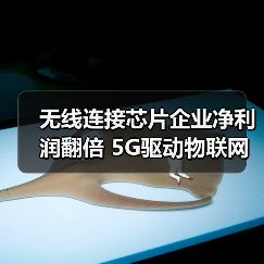 无线连接芯片企业净利润翻倍 5G驱动物联网爆发（图2）
