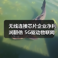 无线连接芯片企业净利润翻倍 5G驱动物联网爆发（图4）