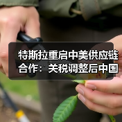 特斯拉重启中美供应链合作：关税调整后中国零部件进口计划（图4）