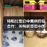 特斯拉重启中美供应链合作：关税调整后中国零部件进口计划（图1）
