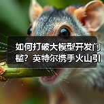 如何打破大模型开发门槛？英特尔携手火山引擎构建新生态（图4）