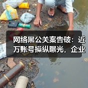 网络黑公关案告破：近万账号操纵曝光，企业危机如何应对？（图2）