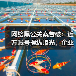 网络黑公关案告破：近万账号操纵曝光，企业危机如何应对？（图3）
