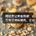 网络黑公关案告破：近万账号操纵曝光，企业危机如何应对？（图4）